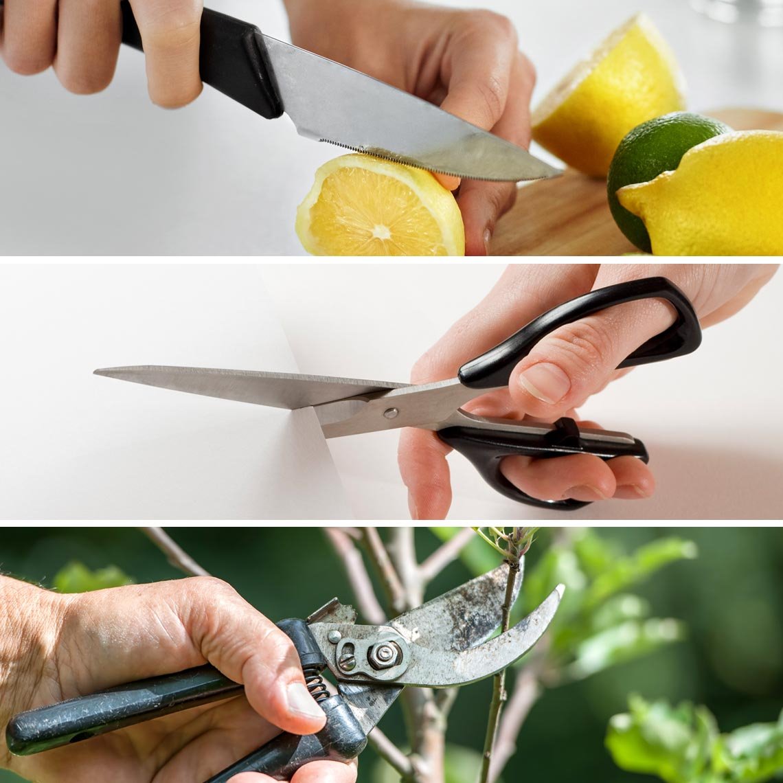 Livington BladeStar 3-in-1-Messerschärfer – Einstellbarer Schleifwinkel – Dreistufensystem – Für Messer und Scheren