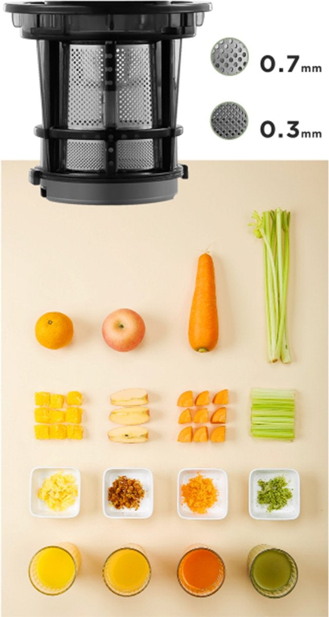 Ocina Slowjuicer - Entsafter für Gemüse und Obst - Trockenes Fruchtfleisch - Schwarz