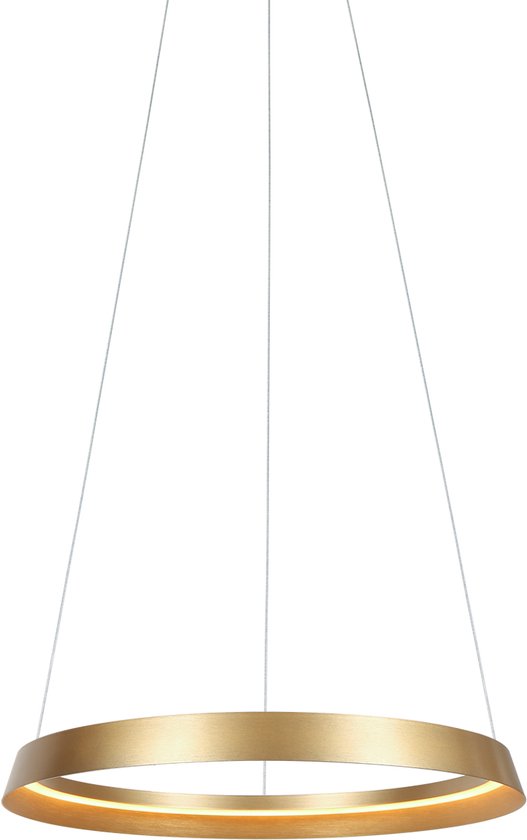 Steinhauer - Pendelleuchte - Ringlux - gold - Metall - Ø 60cm - LED - 3692GO