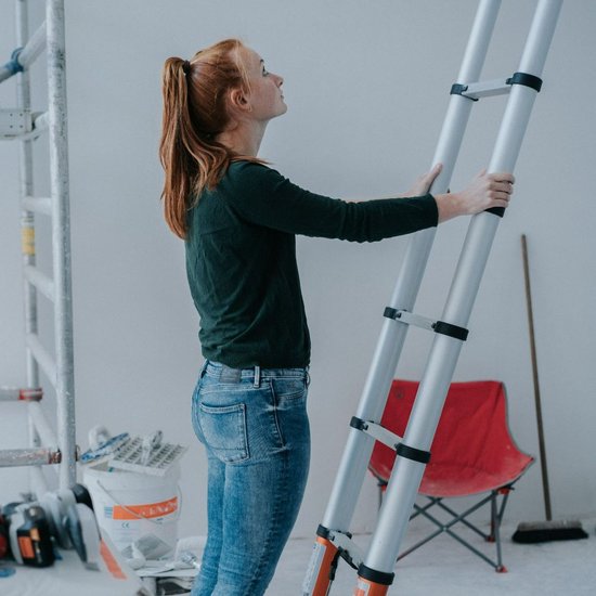 Batavia Teleskopleiter 2.63m - SoftClose & AntiSlip - Ausgezogene Länge 263cm - Anti-Rutsch - Patentierte Soft-Close - Max. Belastung 150kg - Arbeitshöhe 363cm - Giraffe Air