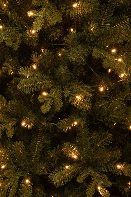 Black Box Trees Harma Schmaler Künstlicher Weihnachtsbaum mit LED-Lichtern - H215 x Ø66 cm - Grün