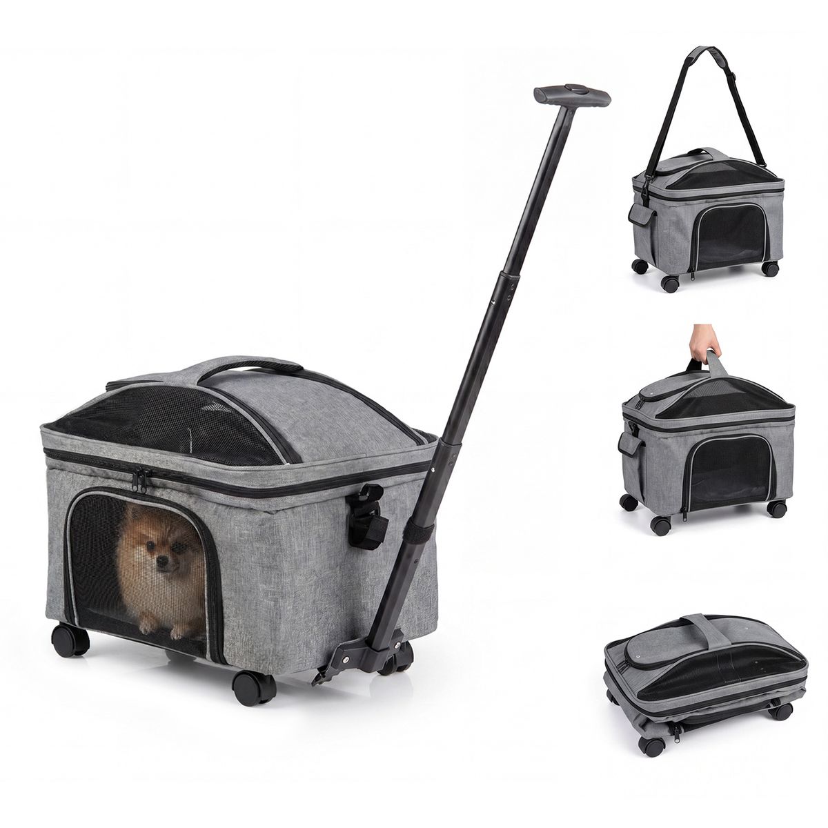 Coast Faltbare Transportbox für Katzen und kleine Hunde – mit Rollen – 3 Tragevarianten – grau
