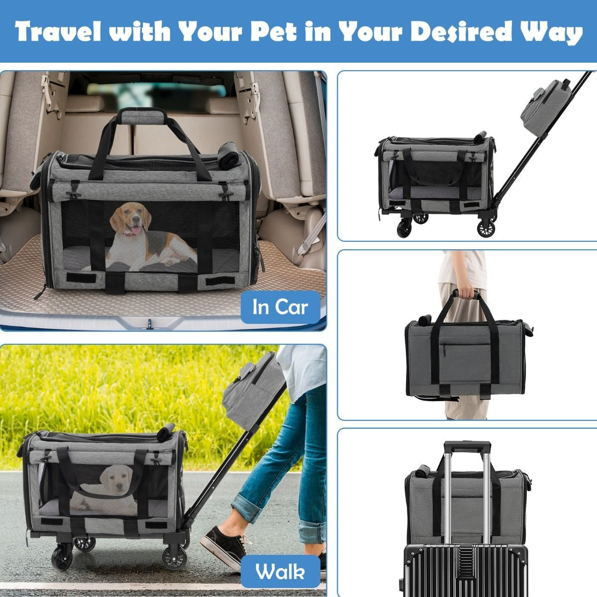 Transportbox Coast - Katze - Hund - tragbar - mit Rädern - faltbar - Teleskopgriff - kleine und mittelgroße Haustiere - grau