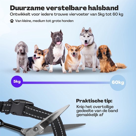 Anti-Bell-Halsband Pro - stoßfreies Erziehungshalsband - für kleine und große Hunde - wasserdicht - wiederaufladbar - Vibration und Audio - 2 zusätzliche Halsbänder