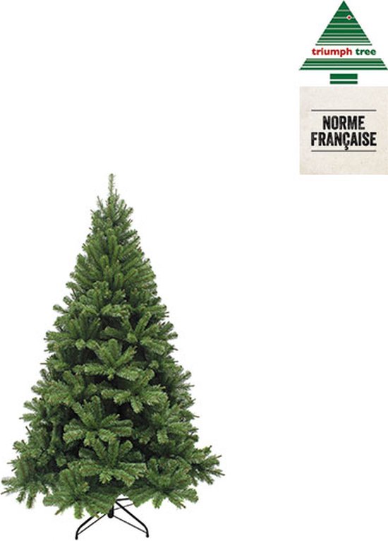 Triumph Tree Forrester Künstlicher Weihnachtsbaum - H120 x Ø81 cm - Grün