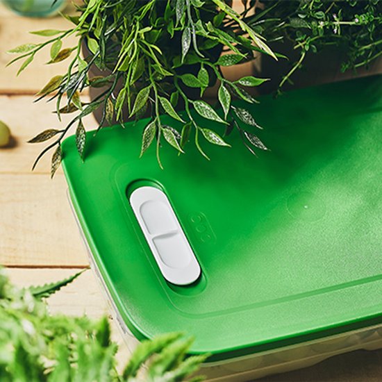 Tupperware Fridge Smart 1,8 l – Frischhaltebehälter – BPA-frei – Vorratsbehälter – Lunchbox – Kunststoffbehälter – Lebensmittelbehälter – Lebensmittel bleiben doppelt so lange frisch