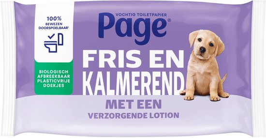 Page® feuchtes Toilettenpapier - Frisch und wohltuend (Care) - mit einer pflegenden Lotion - 456 Blatt - 12 x 38 Stück - Sparpackung