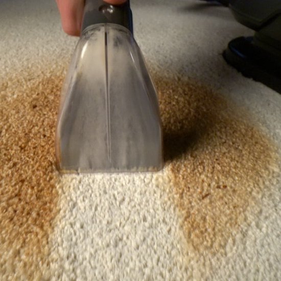 Lvington Spot Blast Wasserstaubsauger – Teppichreiniger – Polsterreiniger für Auto oder Sofa – Reinigungsgerät – 650 W – Textilreiniger – Entfernt Flecken – Reinigt, schrubbt und saugt – Intelligentes Doppeltanksystem