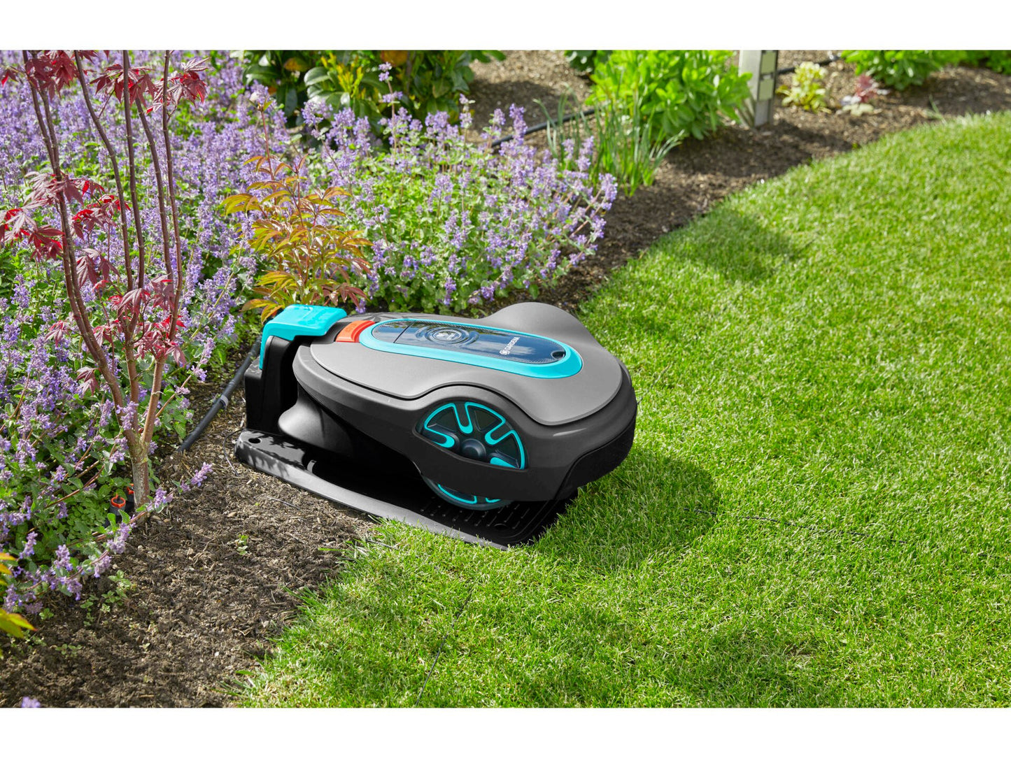 Gardena Sileno Life 850 Mähroboter 18V Li-Ion 850m² - 78,5 x 59 x 33,3 cm - Grau/Blau