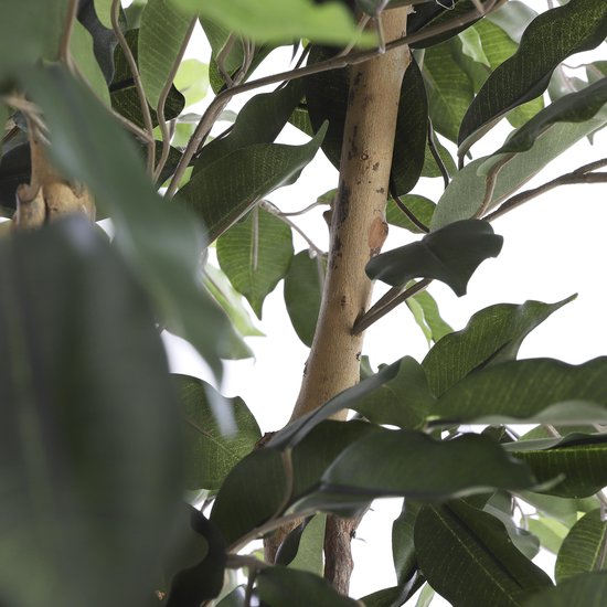 Mica Decorations Ficus Künstliche Pflanze - H110 x Ø65 cm - Grün