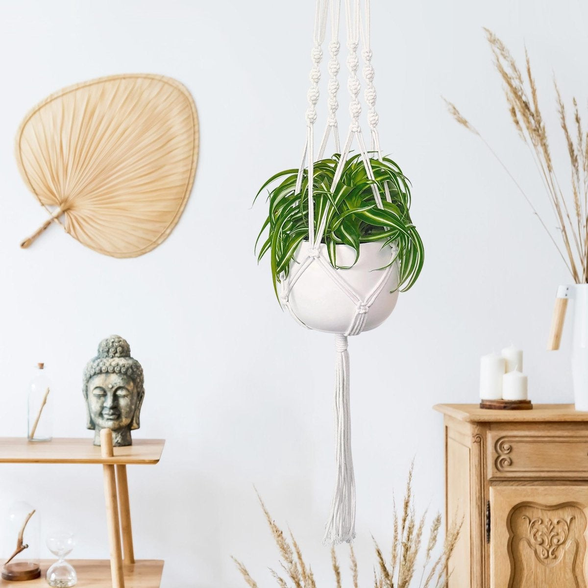 Gadgy Plant Hanger MacramÃ© - Luxus geflochtene Seil Baumwolle - 3 Stück - Blumentopf hängen - hängenden Topf