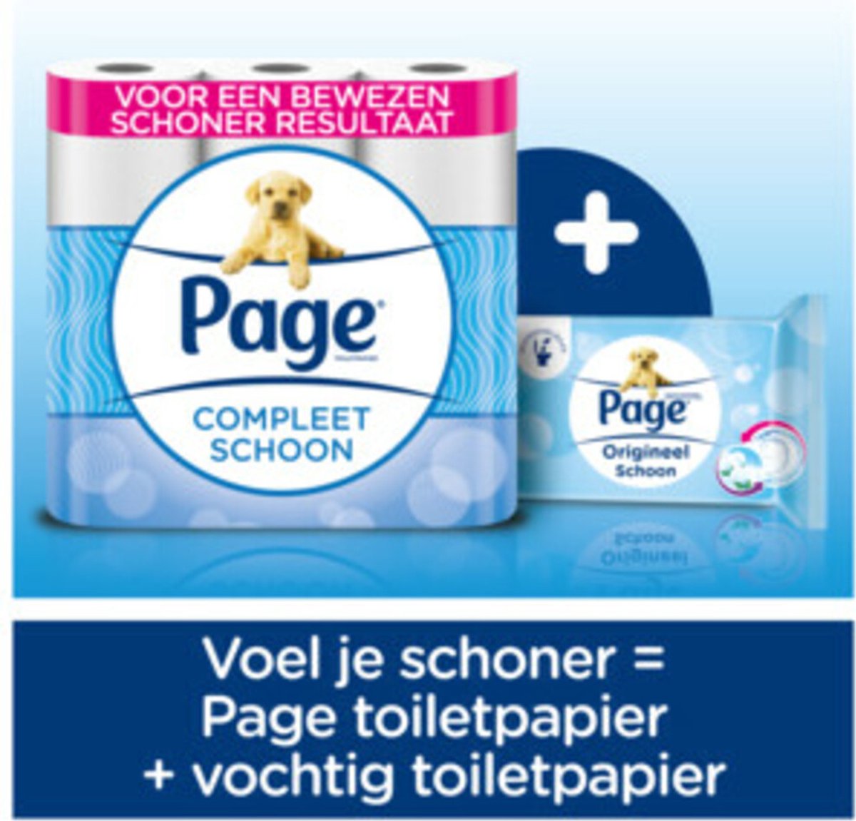 Page Toilettenpapier Complete Clean 2-lagig - 24 Rollen - Weiß