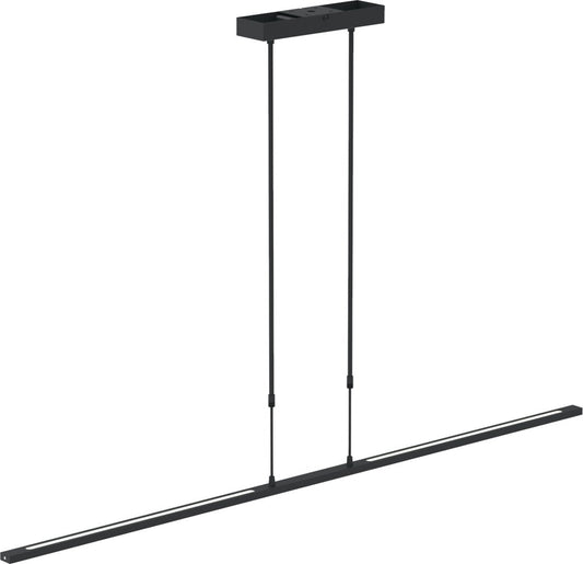 Verstellbare Pendelleuchte Zelena - 2-flammig - Kunststoff/Metall - 155 cm - Höhenverstellbar bis zu 117 cm - Modernes Design - Schwarz