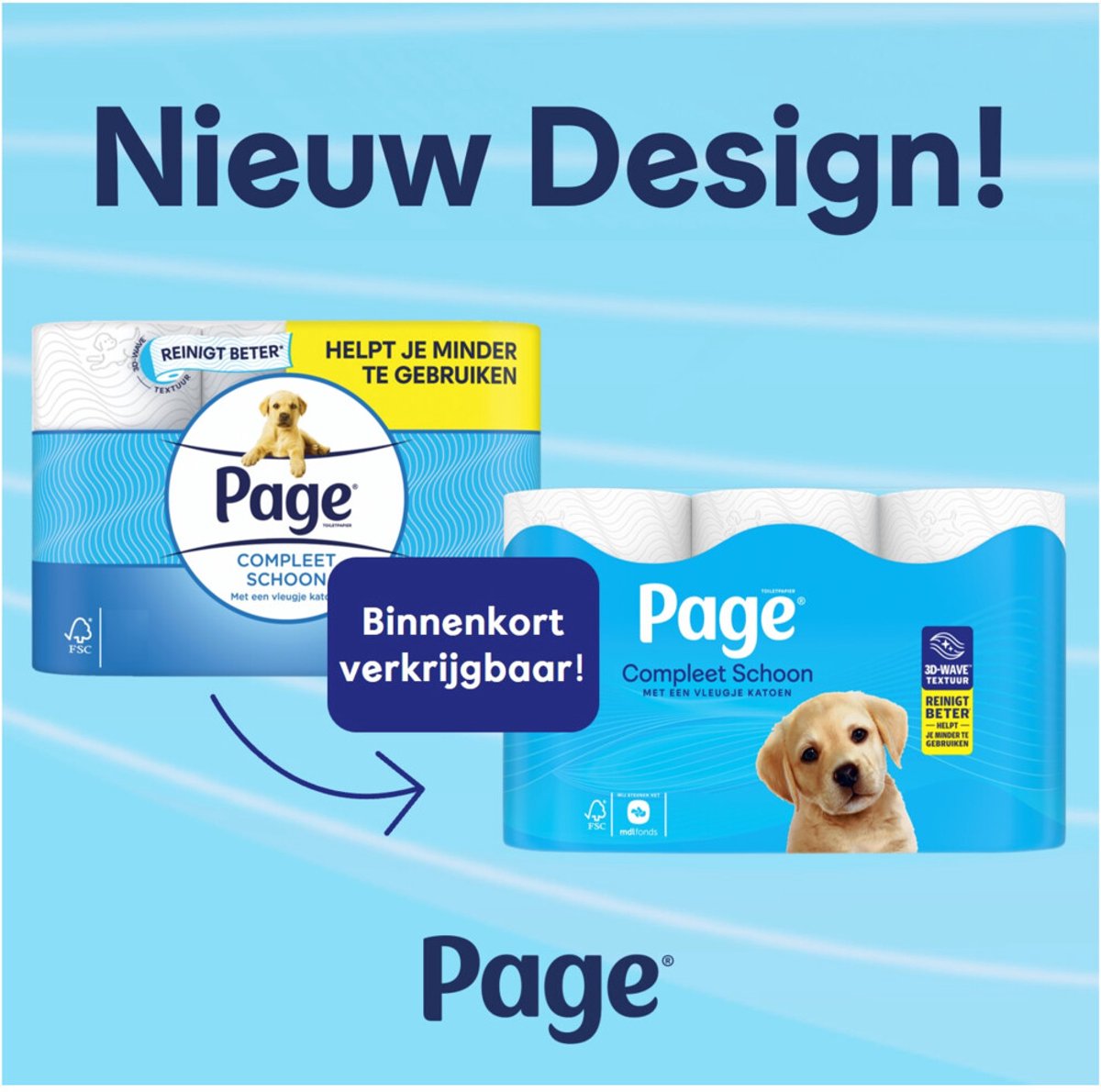 Page Toilettenpapier Complete Clean 2-lagig - 24 Rollen - Weiß