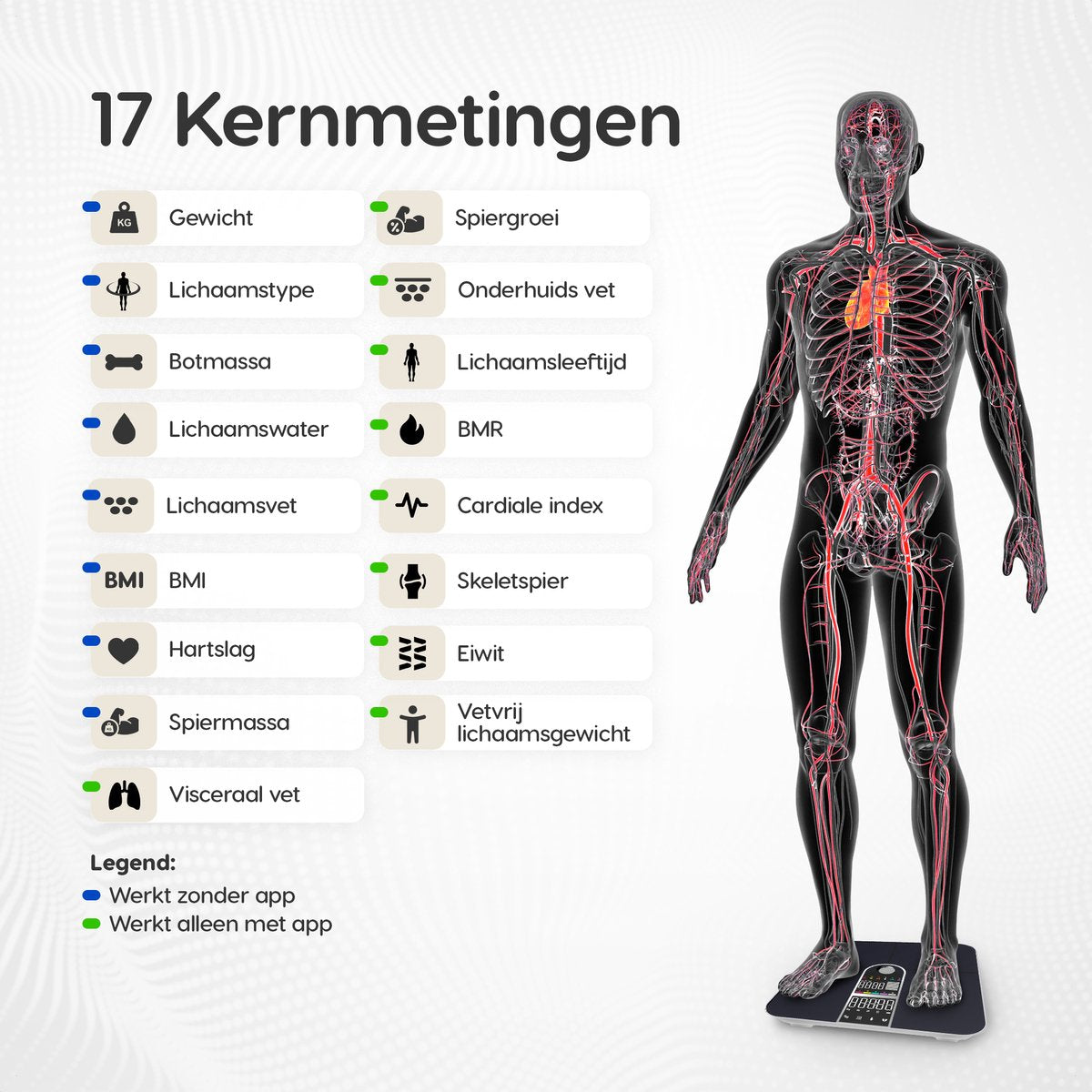 Dymac Quantum Fit Waage Personenwaage Digital - Schwarz - Intelligente Waage mit 16-facher Körperanalyse inklusive Fettanteil - inkl. App