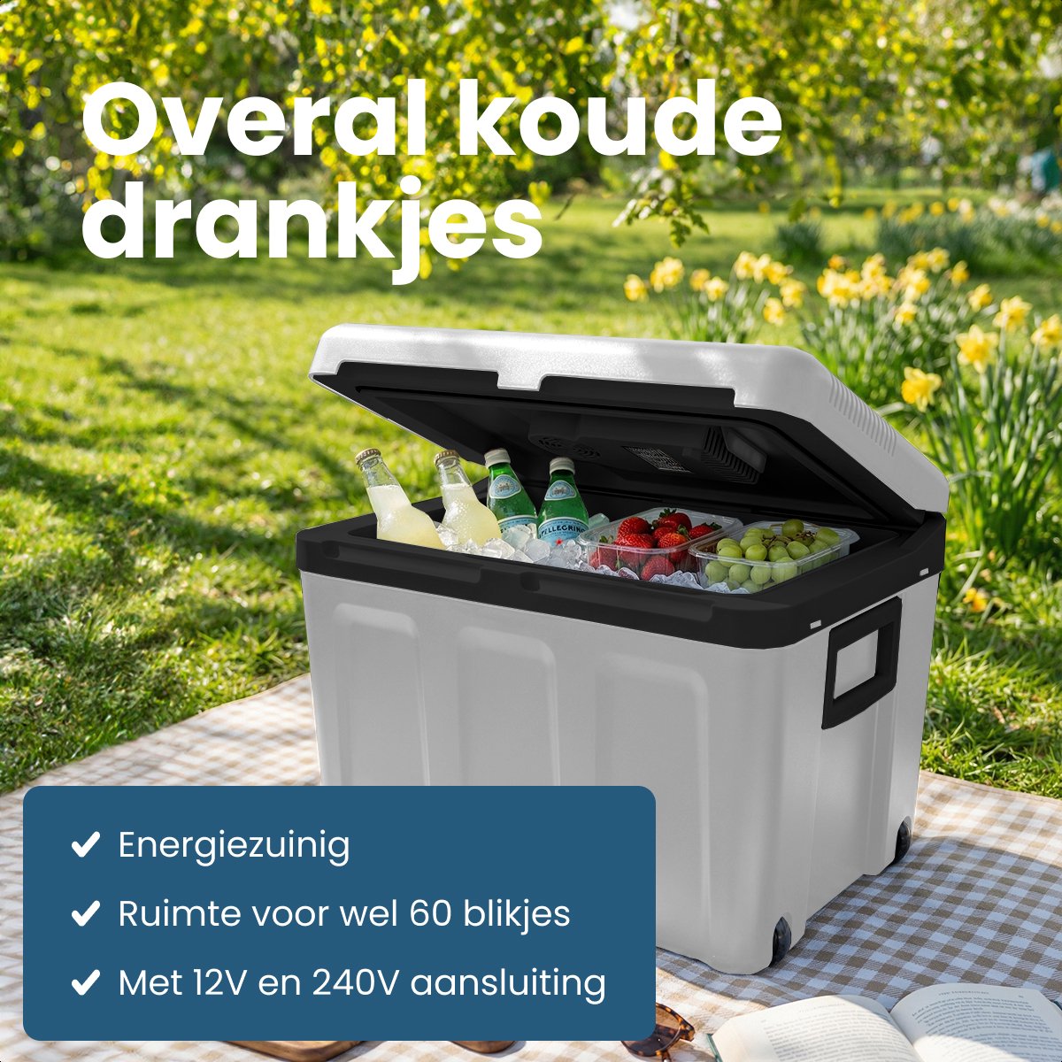 Auronic elektrische Kühlbox - 40L - Kühlung und Heizung - 12V/230V - tragbar