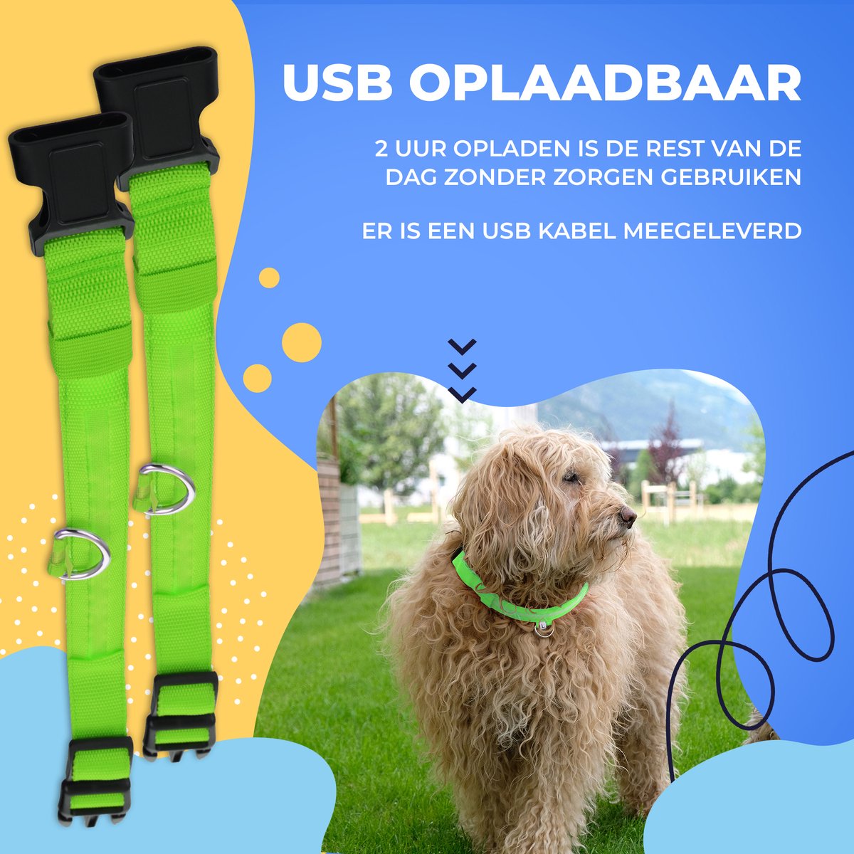 Dutchwide Leuchthalsband - Extra stark - Klick-Halsband - verstellbar - reflektierend - Größe L - Grün