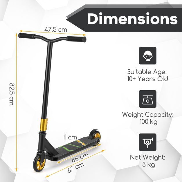 Coast Stuntstep Multicolour - Professioneller Tritt für Kinder und Jugendliche mit 110 mm Rädern