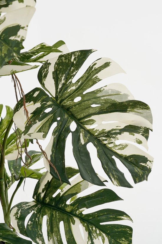 Mica Decorations Monstera Baum Künstliche Pflanze - H140 x Ø120 cm - Grün