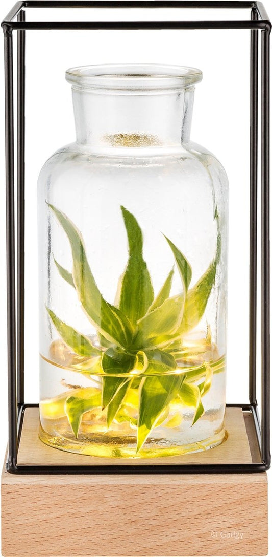Gadgy Vase mit LED-Beleuchtung - Vasenlampe - Glasvase mit Lampe - Muttertagsgeschenk - Hydroponisch - Batteriebetrieben - Tischlampe - Ã˜11cm
