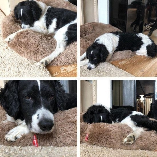 Snoozle Hundekorb - Superweich und luxuriös - waschbar - flauschig - Hundekissen - 60cm - Pink