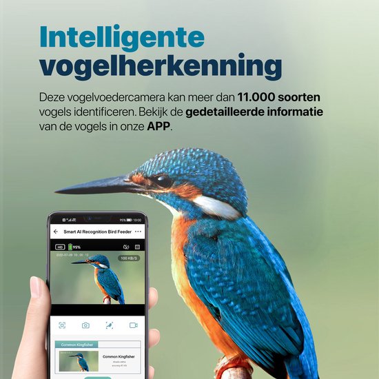 BOME - Vogelfutterautomat - Kamera und Audio - AI-Vogelerkennung - Holz - Doppeltes Solarmodul - Hängend