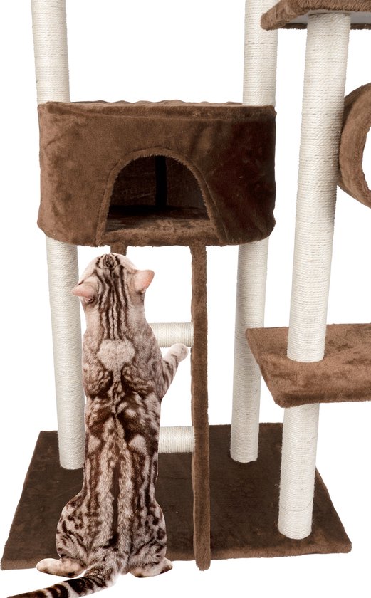 maxxpro Cat Post - Katzenspielzeug - 165 CM - Katzenpfosten - mit Katzenhaus und Katzentunnel - für große und kleine Katzen - Sisal - Braun
