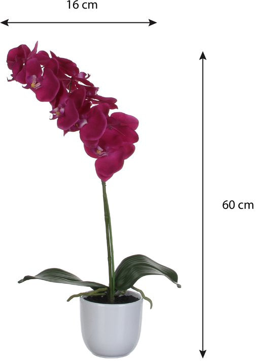 Mica Decorations Phalaenopsis-Kunstpflanze im Blumentopf „Tusca“ – H 60 x Ø 16 cm – Lila
