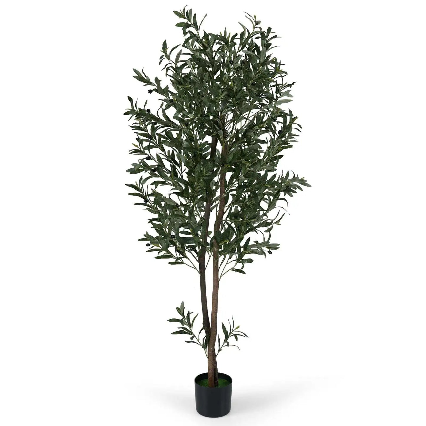 Coast Künstlicher Olivenbaum – Mit zementverstärktem Topf, biegsamen Zweigen und realistischen Oliven – Für Wohnzimmer und Büro – Grünes und schwarzes Polyester – 180 cm hoch
