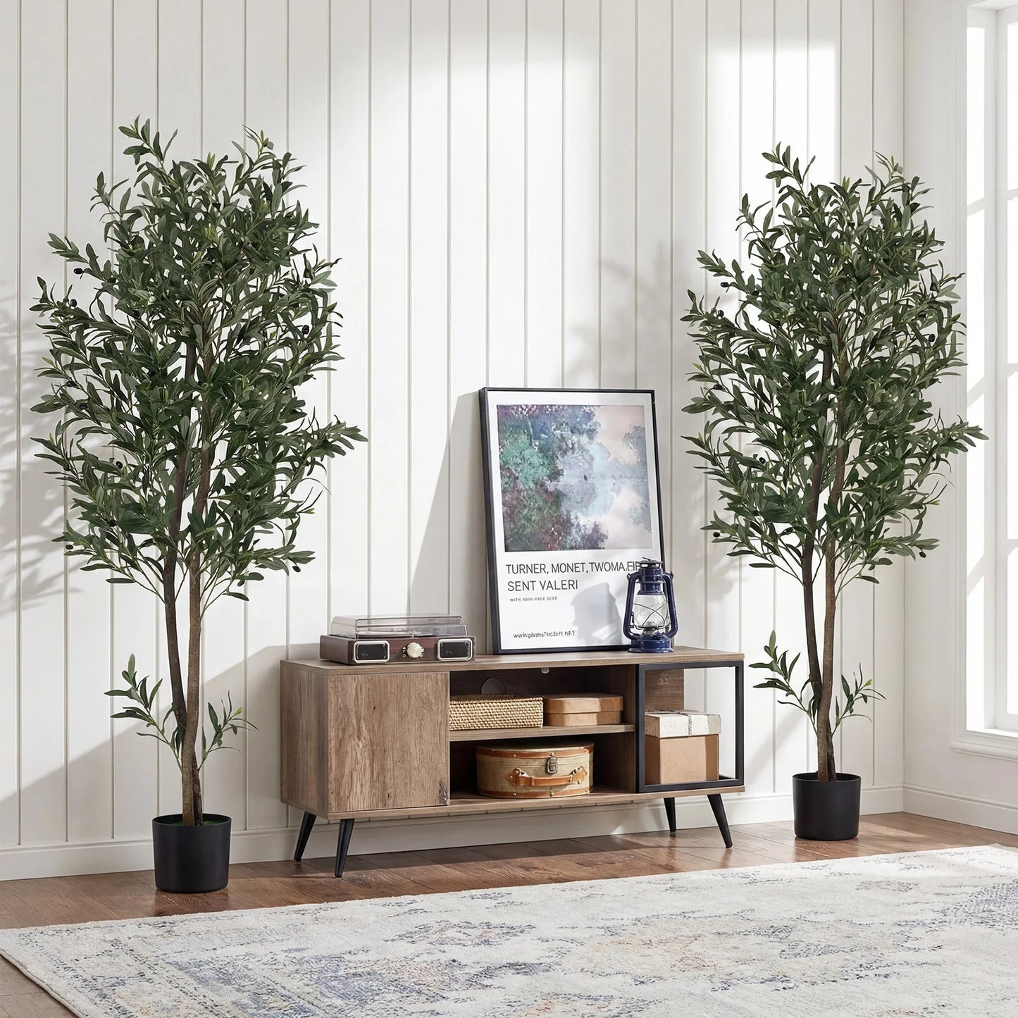 Coast Künstlicher Olivenbaum – Mit zementverstärktem Topf, biegsamen Zweigen und realistischen Oliven – Für Wohnzimmer und Büro – Grünes und schwarzes Polyester – 180 cm hoch