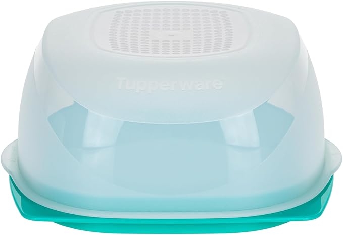 Tupperware Mini CheeSmart Max – Käseaufbewahrungsbehälter – Mint, transparent