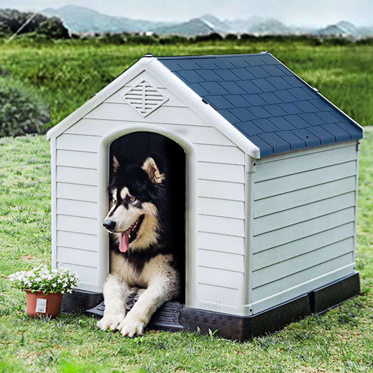 Coast Hundehütte Erhöht - Blau/Weiß - 70 cm x 65 cm x 71,5 cm