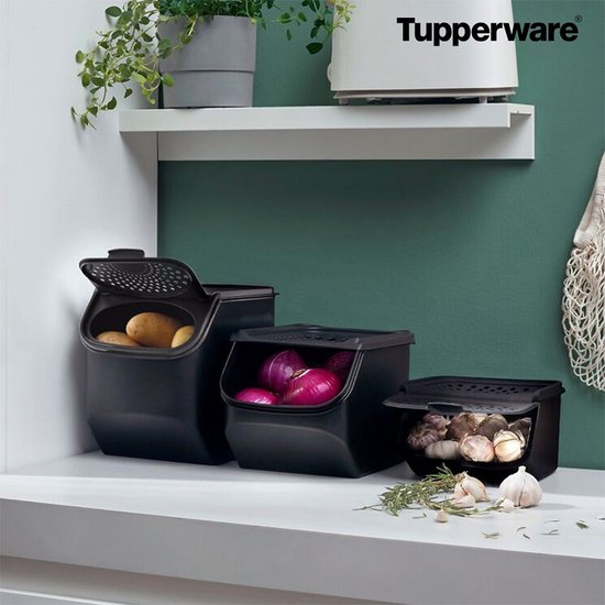 Tupperware GarlicSmart 2,3 l – Knoblauchbehälter – BPA-frei – Aufbewahrungsbehälter für Knoblauch – stapelbar – Keep-Fresh-Behälter – Knoblauch bleibt länger frisch