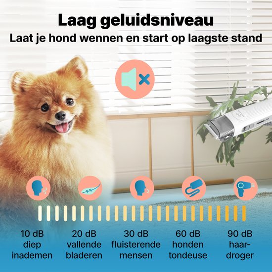 Jake and Jacky Professionelle Hundeschermaschine für dickes Fell 15-teilig - Tierschermaschine mit Absaugung - Saugen & Trimmen - Katzenschermaschine - Geräuscharmes Design - Hunde- und Katzentrimmset - inkl. Aufbewahrungsschale