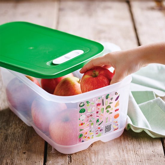 Tupperware Fridge Smart 4,4 l – Frischhaltebehälter – BPA-frei – Vorratsbehälter – Lunchbox – Kunststoffbehälter – Lebensmittelbehälter – Lebensmittel bleiben doppelt so lange frisch