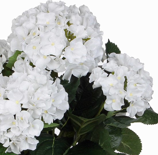 Mica Decorations Kunstpflanze Hortensie – weiß – 45 cm – im Topf – Kunstpflanzen/Kunstblumen