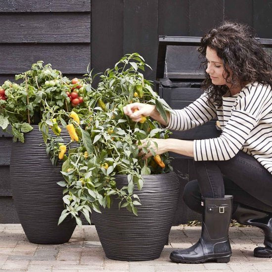 Capi Europe Blumentopf Rib NL – Rund, konisch – 42 x 38 cm – Schwarz