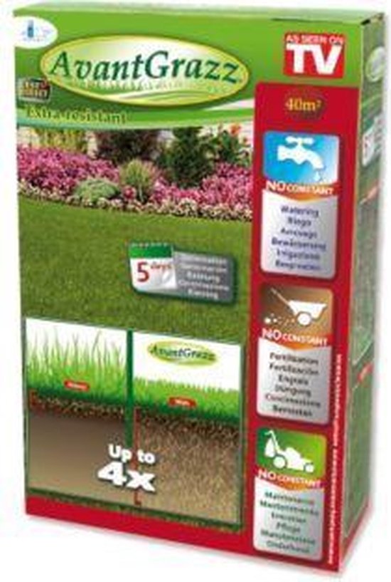 Avant Grazz Rasensamen