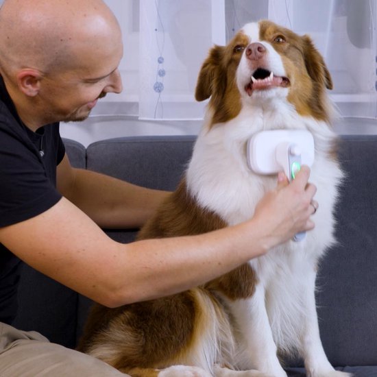 PiddiPet IonBrush Ionen-Tierhaarbürste – Selbstreinigend & batteriebetrieben – Fellpflege für Hunde & Katzen – Weniger statische Aufladung, glänzendes Fell – 2er-Pack