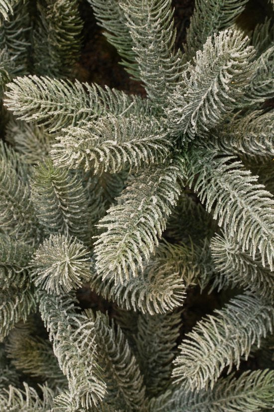 Black Box Trees Nagoya Weihnachtsbaum „Frosted“ mit Scharnierkonstruktion – Kunstbaum mit voller Ausstrahlung und 738 Zweigen – Weihnachtsdekoration für den Innenbereich – H 150 x Ø 91 cm – Grün