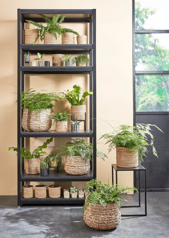 Mica Decorations Avalon Pflanzkorb - 3er-Set - H31 x Ø30 cm - Seegras - Hellbraun