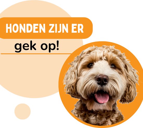 By Cee Cee Hundekorb - Donut Hundekorb - Katzenkorb - Premium Hundekissen - vollständig abnehmbar - Beige 40cm - S