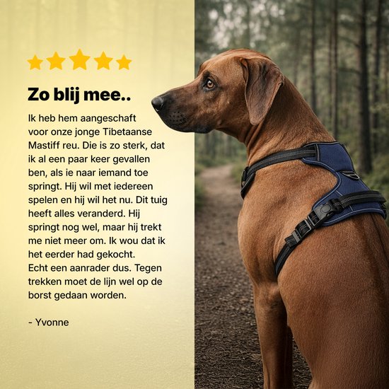 Jake and Jacky Hundegeschirr – Anti-Zug-Geschirr – Hundegeschirr – Y-Geschirr für Hunde – Reflektierend – Blau – Größe S