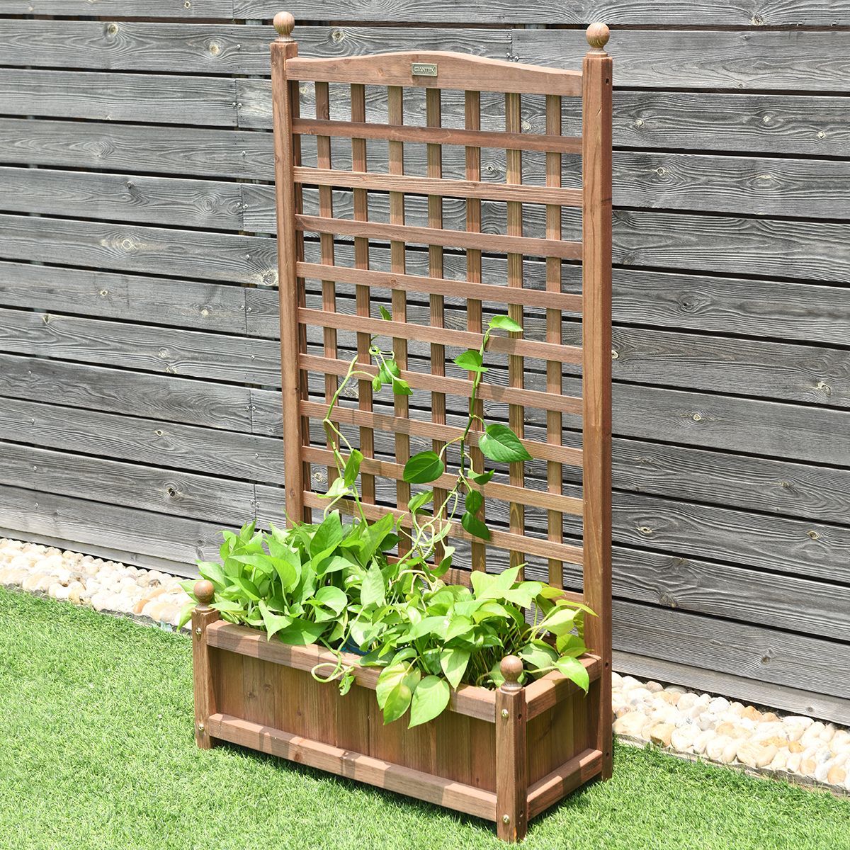 Coast Pflanzkübel mit Klettergitter – geräumiger Blumenkübel – massives Kiefernholz – dunkelbraun – 64,5 x 28 x 120 cm