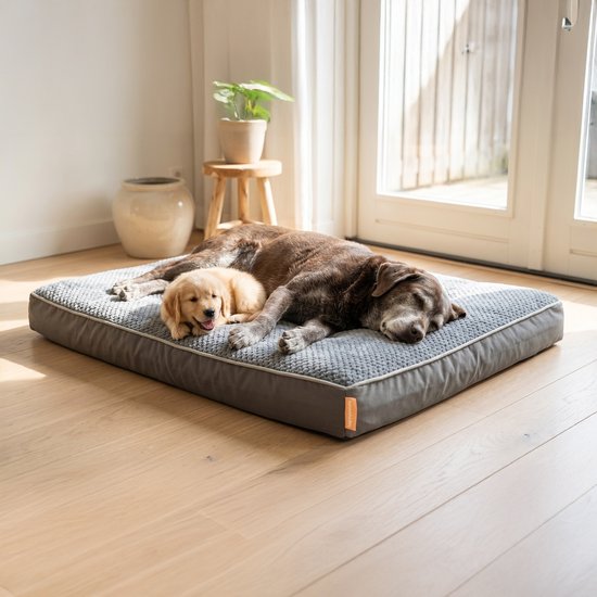 Happysnoots® Orthopädisches Hundekissen – XXL-Hundekorb 100 x 70 x 12 cm – Waschbares Hundebett für große Hunde – Grau mit Reißverschluss