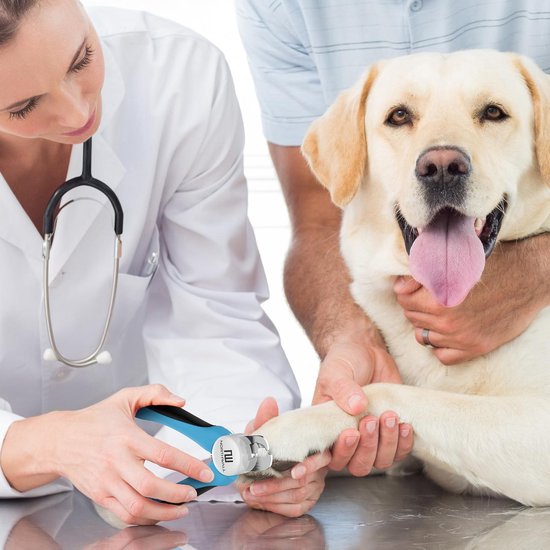 Professionelle Nagelknipser Hund und Katze - Nagelknipser mit Sicherheitsstopp und Nagelfeile - Blau