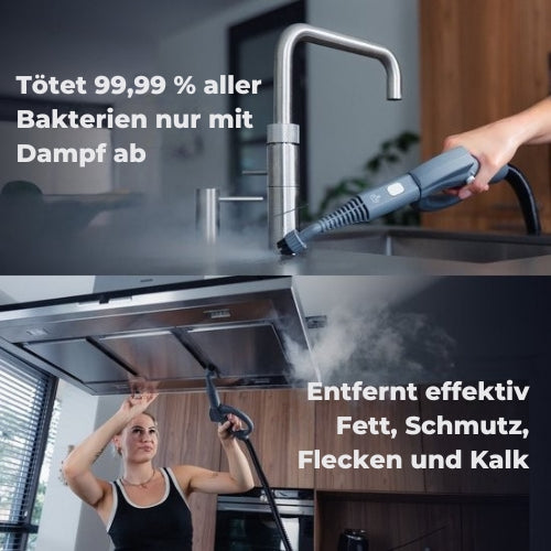 Techweise TS1 Dampfreiniger - 100+ Oberflächen - 45 Minuten - 3,6 bar - grau