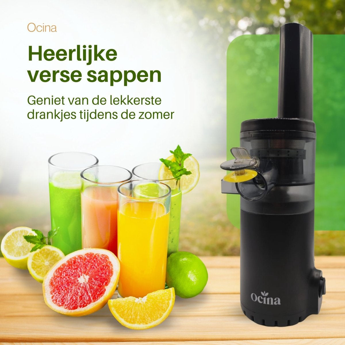 Ocina Slowjuicer - Entsafter für Gemüse und Obst - Trockenes Fruchtfleisch - Schwarz