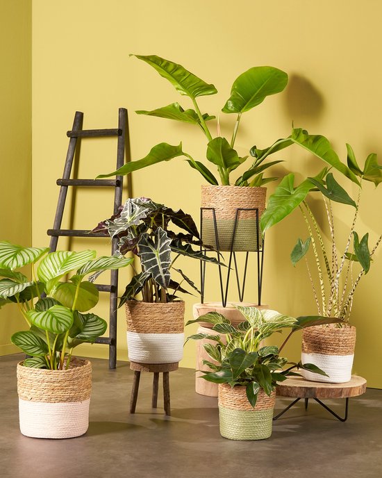 Mica Decorations Pia Trunk Beistelltisch - H14 x Ø29 cm - Hellbraun