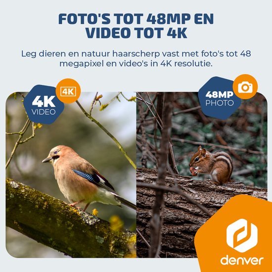 Denver Wildkamera mit Nachtsicht und 4G-Verbindung – Live-Streaming – 4K-Ultra-HD-Video – 48 MP – Solarbetrieb – TrailCam Go-App – WSL8050